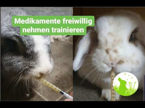 Medikamente freiwillig nehmen trainieren