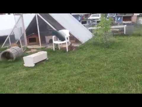 Sepperl Arthrose, HD, Spondylose nach/während Behandlung