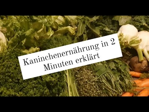 Winterfütterung von Kaninchen