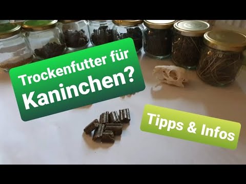 Trockenfutter für Kaninchen?