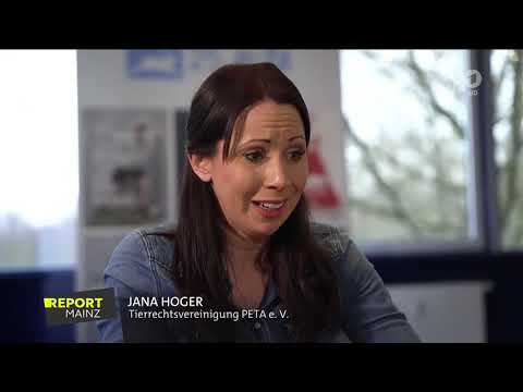 Zoogeschäfte und Züchter erneut in Kritik - Report Mainz/ARD vom 20.12.2022