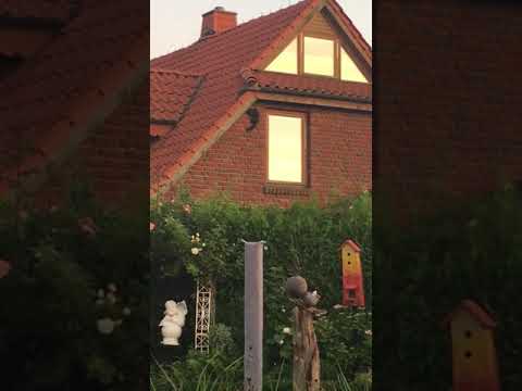 Marder auf dem Dachboden - Marder an der Hauswand