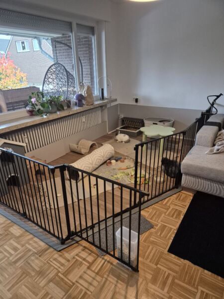 Lebendiges Bild einer Kaninchenfutter-Schüssel mit Erdbeer-Sahne-Duft.