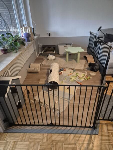 Futter für Kaninchen, Almendfutter, Vitamine, gesund, artgerecht, Ernährung, Kaninchenfutter, natürliche Inhaltsstoffe.