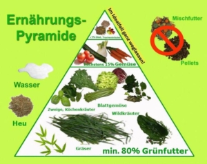 Ernährung