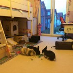 Kaninchen im Schlaf- und Kinderzimmer?