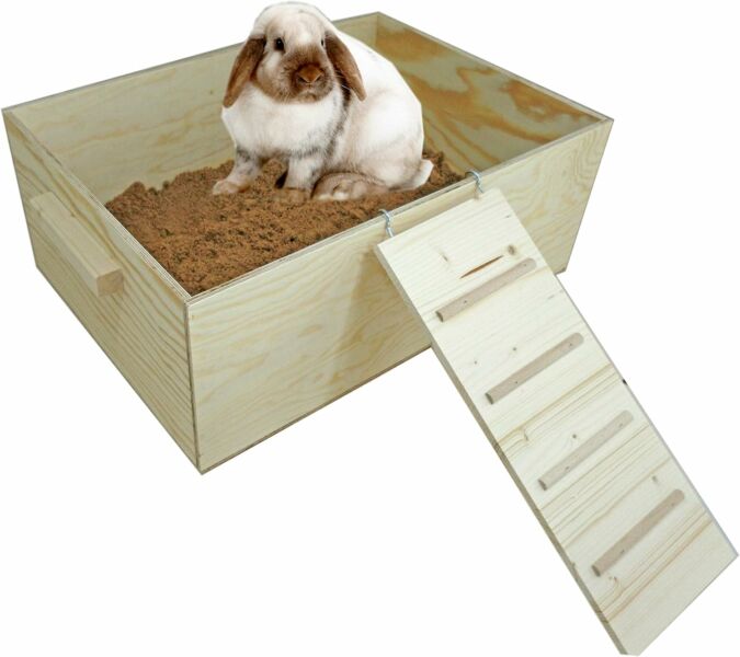 Was Kommt In Die Buddelkiste Für Kaninchen Buddelkisten für Kaninchen - Haltung, Pflege, Verhalten