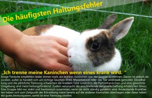 Ist mein Kaninchen krank?